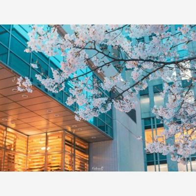 炸金花单机游戏手机app下载截图